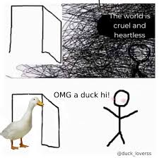 Duck