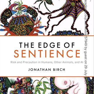 Edge of Sentience
